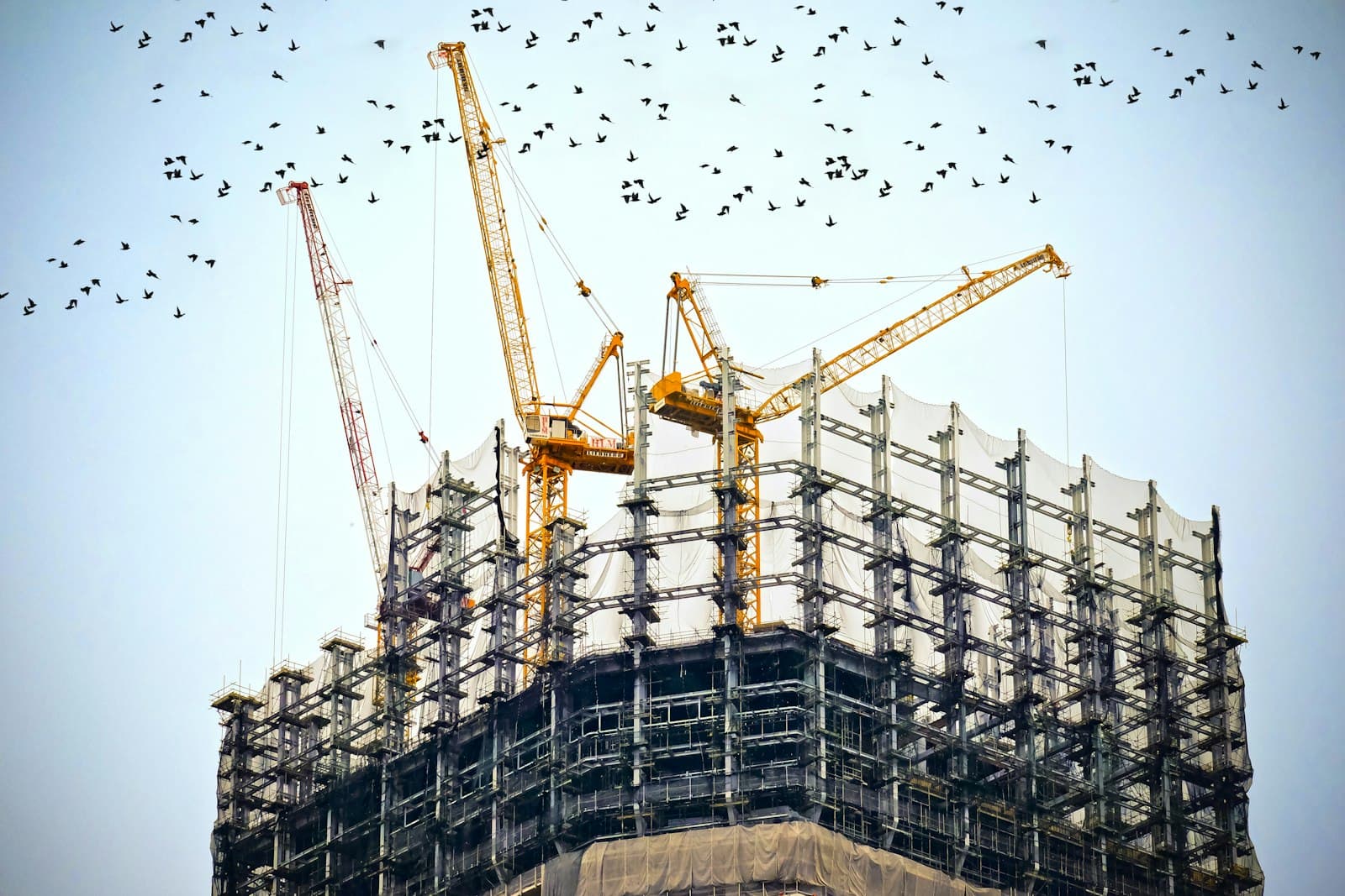 Tower cranes over a high rise build